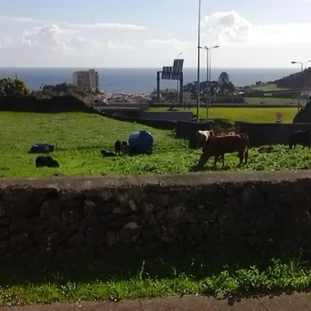 Ocean View Flat アパート